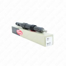 Jaguar X-Type 2.0 D 07/2003-12/2009 New Delphi Diesel Injector R00501Z